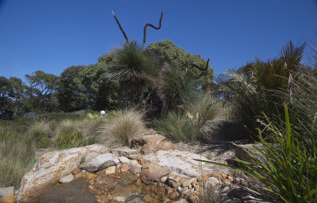 The Lakes Beachfront Holiday Park Lake Tyers Beach Eksteriør bilde
